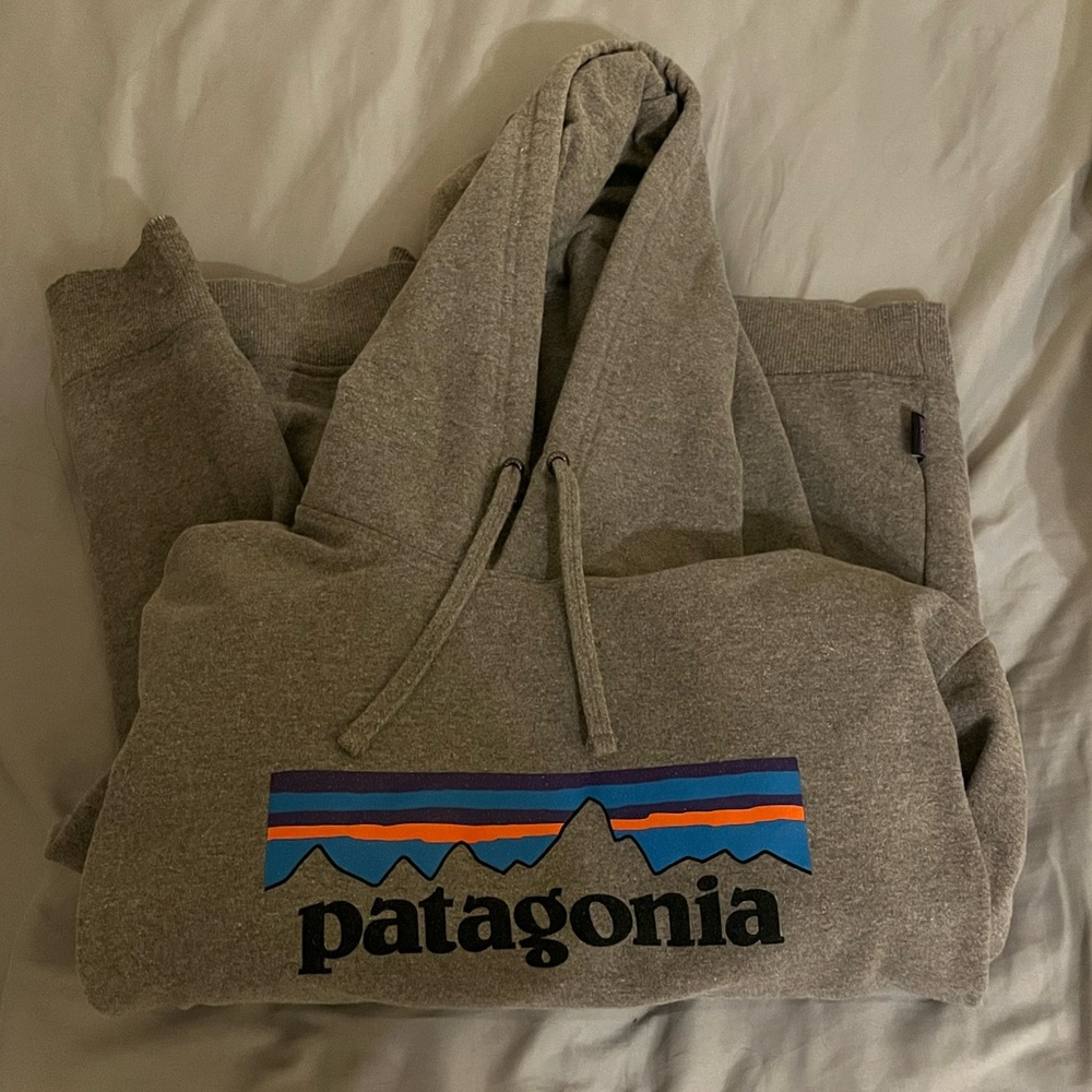 Patagonia Gray Hoodie